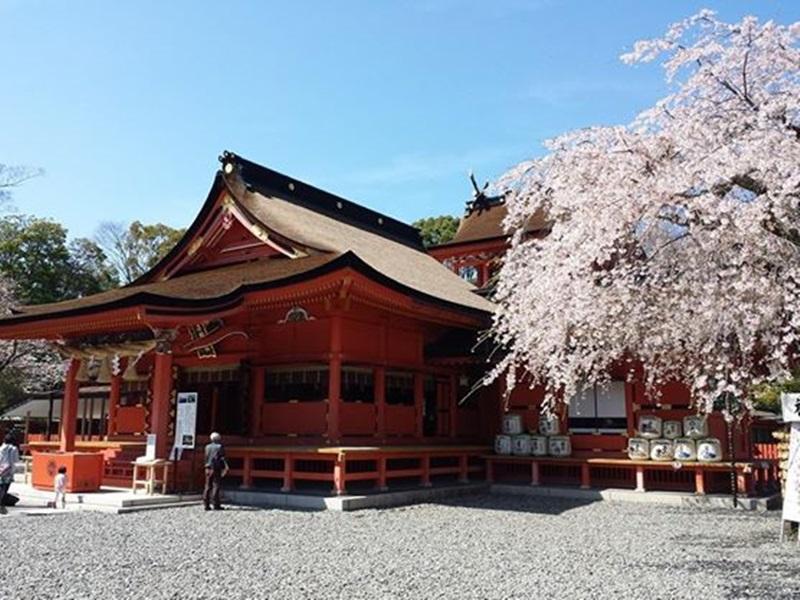 Guest House Tokiwa Фуджиномия Екстериор снимка